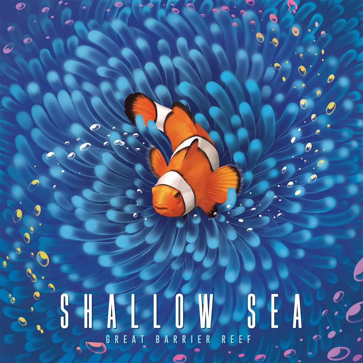 Shallow Sea (2025) Shallow Sea (2025)