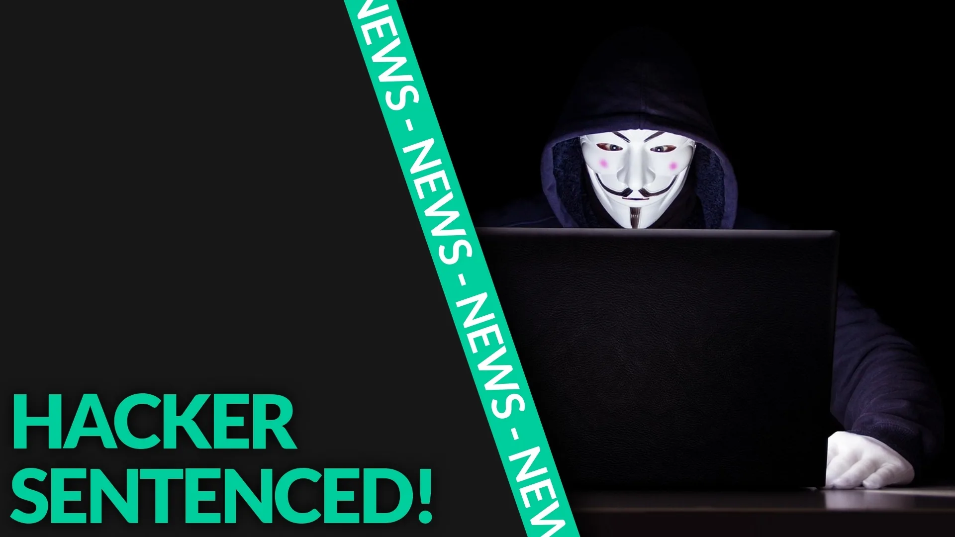 Hacker Busted: 20 Months for Chaos!